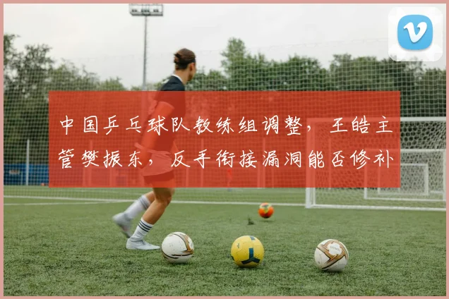 中国乒乓球队教练组调整，王皓主管樊振东，反手衔接漏洞能否修补？